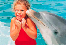 The Bahamas, Caribbean, Dolphin Encounter