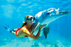 The Inaguas, Bahamas, Swimming with Dolphins The Inaguas, Bahamas Travel Guide, touring The Inaguas, visiting The Inaguas, sightseeing in The Inaguas, The Inaguas beaches